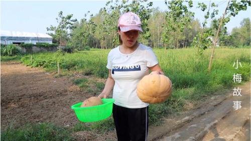 梅子娱乐吃瓜,揭秘娱乐圈最新吃瓜事件，带你领略明星幕后故事